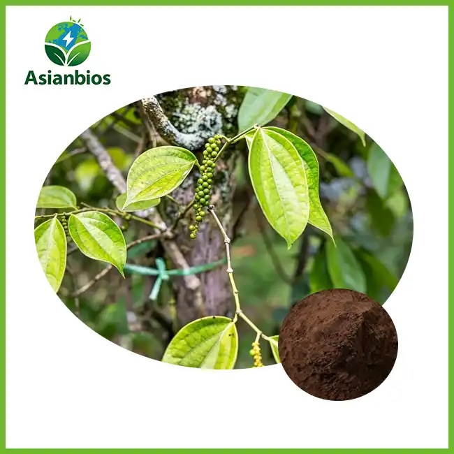 Black Pepper Extract Powder